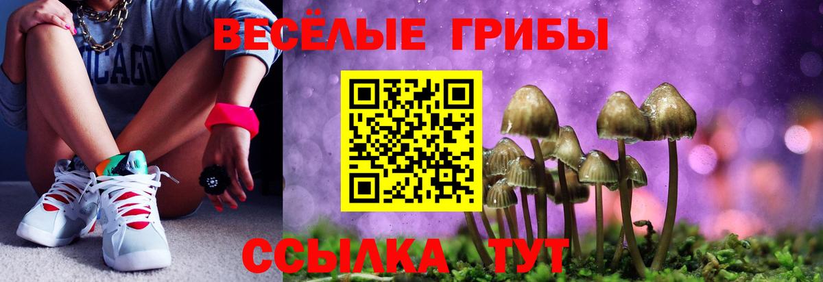 Псилоцибиновые грибы мицелий  Псилоцибиновые грибы GOLDEN TEACHER  купить  сайты  Зима  Вход с VPN 
