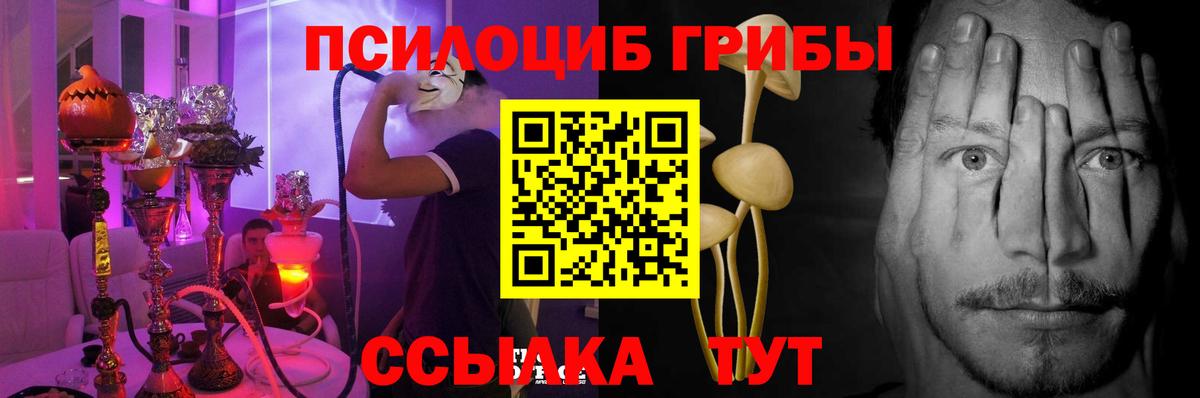 Галлюциногенные грибы Magic Shrooms Зима